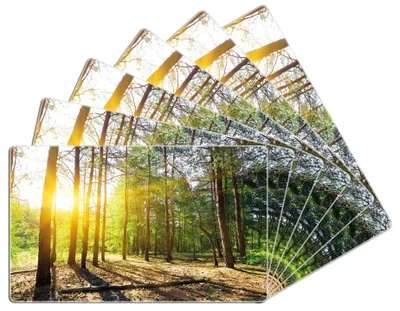 Produktbild von Wallario Frühstücksbrettchen 6er Set aus Glas, je 14 x 23 cm, mit rutschfesten Füßen, Motiv Sonnenstrahlen tief hinter dem Wald