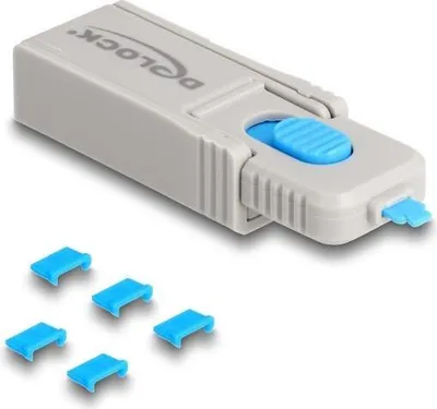 Image de DeLOCK 20925 Blocage d'interface Blocage d'interface + clé Micro-USB bleu