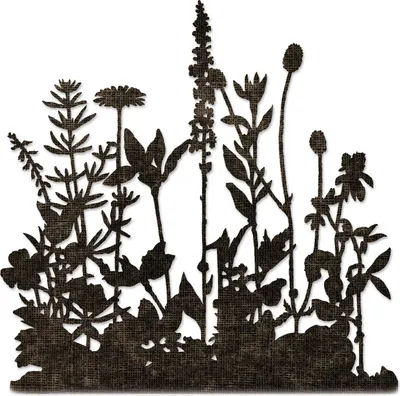 Produktbild von Sizzix Thinlits Stanzschablone "Flower Field by Tim Holtz"