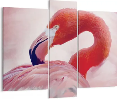 Produktbild von Bild auf Leinwand - Leinwandbild - 3 Teile - Flamingo Vogel Porträt - 95x80cm - Wand Bild - Wanddeko - Wandbilder - Leinwanddruck - Bilder - Wanddekoration - Leinwand bilder - Wandbild - CB95x80-4984