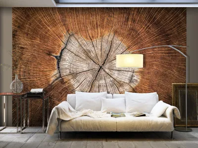 Produktbild von Vlies Fototapete 400x280 cm Tapeten Wandtapete XXL Abstrakt Baum braun b-B-0062-a-a