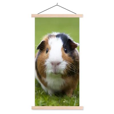 Produktbild von MuchoWow® Textilposter Zwei Meerschweinchen 60x120 cm mit holzfarbenen Rahmen - Holz