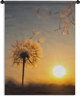 Produktbild von MuchoWow® Wandteppich Wandbehang Löwenzahn - Sonne - Sonnenuntergang 150x200 cm Tapisserie Dekoration Wandtuch - Wandaufhängung - Moderner