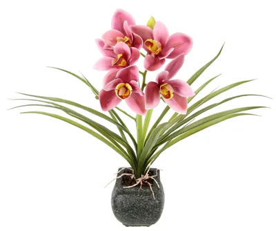 Obrázok produktu pre Umelo vyrobená orchidea Cymbidium s kvetináčom na dekoráciu
