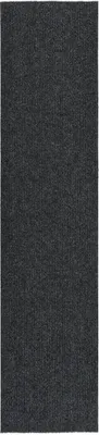 Obrázok produktu pre Rohož na zachytávanie nečistôt 100x450 cm antracitová