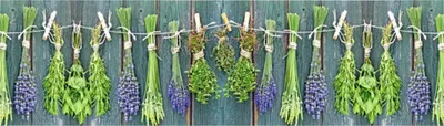 Produktbild von Küchenrückwand mySpotti Profix Kräuter der Provence 210 x 60 cm PX-21060-207-HB