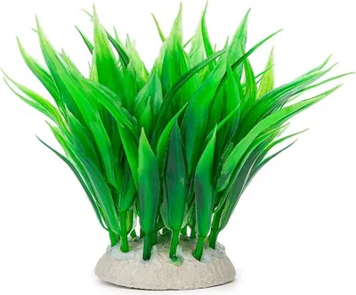 Zdjęcie produktu dla Happet Aquatic Plant - zielona roślinka sztuczna trawa 10cm Happet