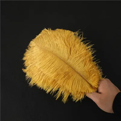 Straußenfedern, 10 Stück, 25-30 cm, bunt, für Basteln & Deko