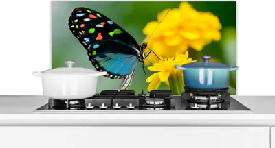 Produktbild von KitchenYeah®  Spritzschutz Küche - Küchenrückwand - Wandschutz für Herd und Spüle - Schmetterling - Blume - Tier - Insekt 80x40 - Alu-Dibond (Alternative zum Spritzschutz aus Glas) - Hitzebeständig -
