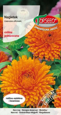 Produktbild von Orange Ringelblume Samen 3g - Torseed