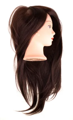 Image de Tête d'entraînement pour coiffure, avec des cheveux naturels bruns