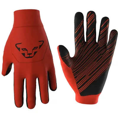 Image de Gants thermiques recyclés (unie) - DynaFit, taille : L, couleur : 4491-dawn/0910
