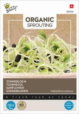 Produktbild von Keimsprossen Sonneblumen | Keimsprossen von Buzzy Seeds