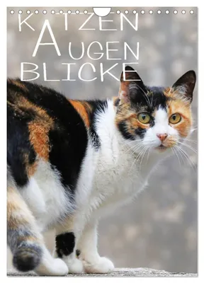 Produktbild von KATZEN AUGEN BLICKE (Wandkalender 2027 DIN A4 hoch), CALVENDO Monatskalender