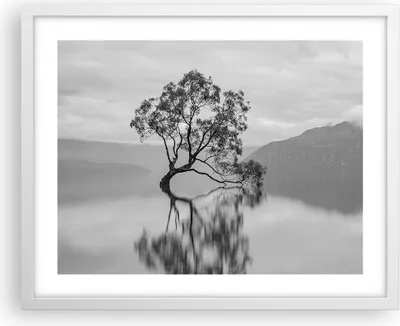 Produktbild von Gerahmtes Poster - Weißer Rahmen - Baum Symmetrie See - 50x40 cm - Wand Bild - Wanddeko - Wandbilder - Kunstposter - Wandposter - Bilderrahmen - Bilder - Kunstdruck - Wanddekoration - P2WAA50x40-4514
