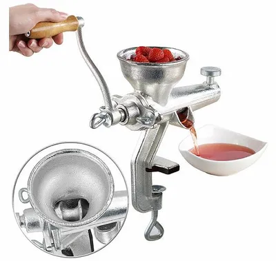 Image de Extracteur de jus professionnel en fonte