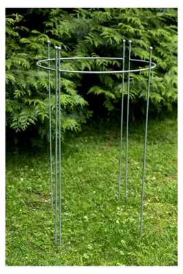 Produktbild von 2er Set halbrunde Staudenhalter, Höhe 90cm, Breite 45cm, Zink