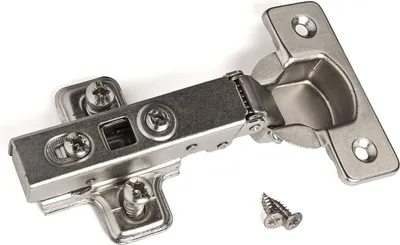 A close-up studio shot of a cabinet hinge and two screws against a white background.