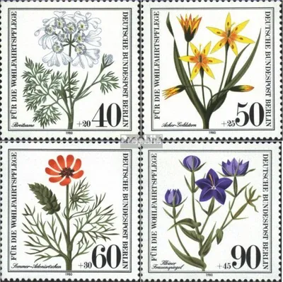 Produktbild von Briefmarken Berlin (West) 1980 Mi 629-632 (kompl.Ausg.) postfrisch Ackerwildkräuter