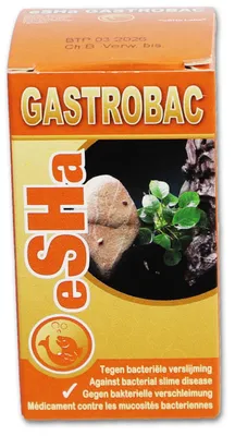 Produktbild von Fischmedikament gastrobac 10ml Gebr. de Boon