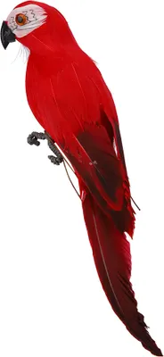 Image de Simulation perroquet,Décoration faux oiseau,Décoration maison,Décoration jardin,Faux oiseau