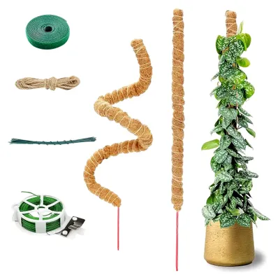 Produktbild von 2 Stück 60 cm Biegsame Moosstäbe für Monstera Rankhilfe, Erweiterbare Pflanzenstäbe, Moosstäbe für Monstera, Rankstäbe zur Pflanzenunterstützung, Kletterhilfen für Zimmerpflanzen