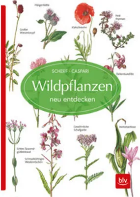 Image de Wildpflanzen neu entdecken