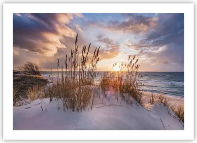 Produktbild von Poster - Poster ohne Rahmen - Westen auf der Strand - 70x50 cm - Wand Bild - Wanddeko - Wandbilder - Kunstposter - Wandposter - Bilder - Kunstdruck - Wanddekoration - Wandbild - P2XAA70x50-4710