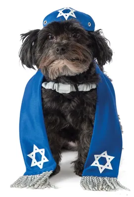 Productafbeelding van Rubie's Rubies: Yarmulke- en tallis-kostuum voor honden