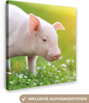 Produktbild von MuchoWow® - Leinwandbilder - Tiere - Ferkel - Schwein, Wandbild, Wanddeko Bilder Wohnzimmer, 20x20 cm