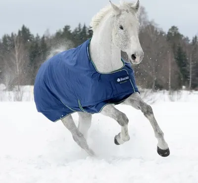 Obrázok produktu pre Bucas Outdoordecke 300g Smartex Turnout Extra Big Neck Weidedecke Blue 125
