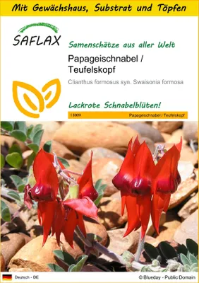 Produktbild von SAFLAX Anzucht Set - Papageischnabel / Teufelskopf - Clianthus formosus syn. Swaisonia formosa - 20 Samen - Mit Mini-Gewächshaus, Anzuchtsubstrat und 2 Töpfen
