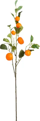 Zdjęcie produktu dla Sztuczna gałązka mandarynki Mica Decorations - wys. 104 cm - pomarańczowa