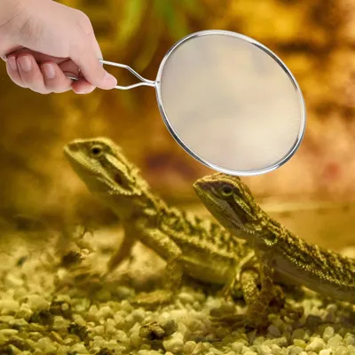 Image de Litière pour chat Outil de nettoyage en acier inoxydable, pelle à excréments, pelle à sable, nettoyeur pour animaux domestiques