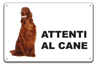 Warnschild Aluminium 3 mm 20x15 cm Setter