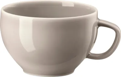 Produktbild von Rosenthal Tee-Obertasse Junto Soft Shell 10540-405207-14642