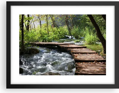 Produktbild von Gerahmtes Poster - Schwarzer Rahmen - Park natur grün bäume - 40x30 cm - Wand Bild - Wanddeko - Wandbilder - Kunstposter - Wandposter - Bilderrahmen - Bilder - Kunstdruck - Wandbild - P2BAA40x30-0356