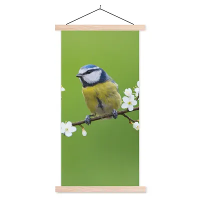 Produktbild von MuchoWow® Textilposter Blaumeise - Zweig - Blumen - Blühende Zweige - Vogel 60x120 cm mit holzfarbenen Rahmen - Holz