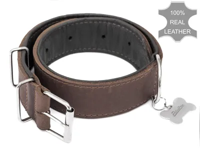 Produktbild von Hundehalsband Leder, Halsband, Leder, Lederhalsband Hund, Metallschnalle, 65 x 4 cm, Braun