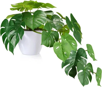 Zdjęcie produktu dla Sztuczna roślina Monstera 45cm Wysoce realistyczna dekoracja do domu Biuro Łazienka Kuchnia