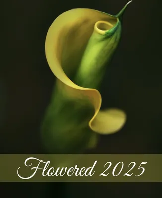 Produktbild von raxxa Premium-Monatskalender Flowered 2025 DIN-A2 hoch