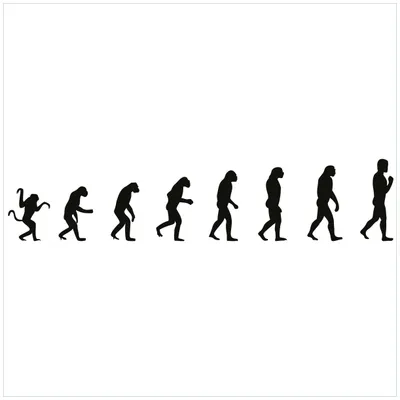 Produktbild von Wallario Premium Glasbild, freischwebende Optik, kräftige Farben, Größe 50 x 50 cm Motiv Evolution - Die Entwicklung des Menschen