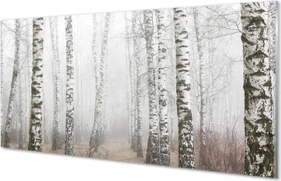 Produktbild von Glasbilder 140x70 Wandkunst Nebel Birke