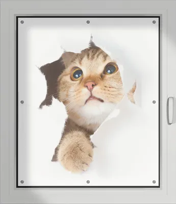 Produktbild von Wallario Lichtschutzbild, Dekorativer Sichtschutz Sonnenschutz 96 x 115 cm mit Motiv: Katze mit Blick nach oben - Verdunklung ohne Bohren