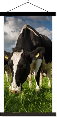Produktbild von MuchoWow® Textilposter Kuh - Natur - Gras - Tiere 40x80 cm mit schwarzem Rahmen - Wandemalerei