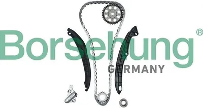Image de Borsehung B18824 : Kit de chaîne de distribution. Chaîne de distribution pour VW Polo (berline 6R1, 6C1), TIGUAN (5N), Passat Variant (365) et pour SKODA Octavia II Combi (1Z5)