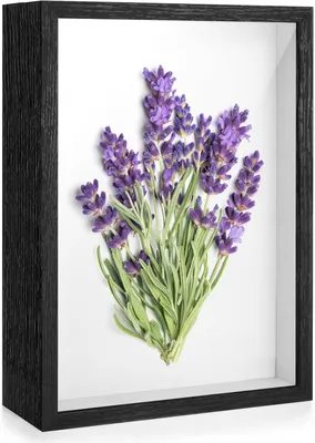 Image de Cadre photo 3D profond, format A4 (20 x 29 cm), noir, pour photos et travaux manuels