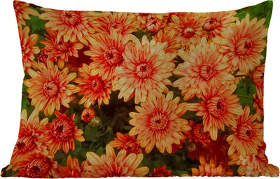 Produktbild von MuchoWow® Outdoor Kissen - Blumen - Orange - Chrysantheme - 60x40 cm - Wetterfest - Lounge Kissen - Zierkissen - Kissen für Innenräume
