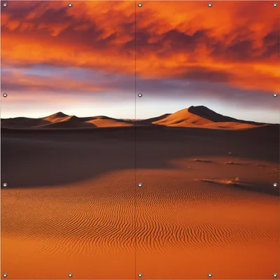 Produktbild von Wallario Outdoor-Poster für Garten oder Balkon, Motiv Sahara Wüste II - Sanddünen im Sonnenuntergang, in ca. 180 x 180 cm