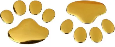 Image de INF Lot de 10 Autocollants 3D Patte d'Animal pour Voiture - Décoration Créative Or